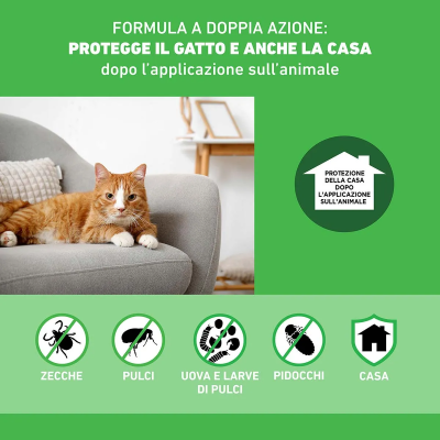 FRONTLINE COMBO GATTO Conf.6 PIPETTE