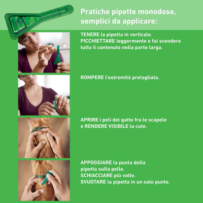 FRONTLINE COMBO GATTO Conf.6 PIPETTE