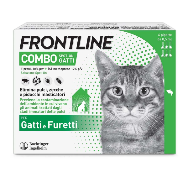 FRONTLINE COMBO GATTO Conf.6 PIPETTE