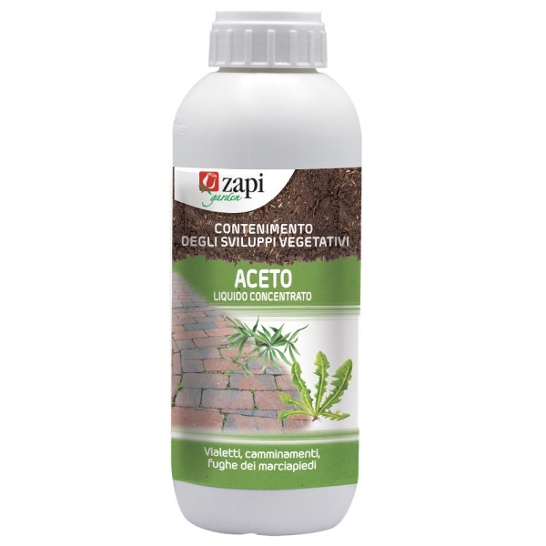 ZAPI ACETO CONCENTRATO