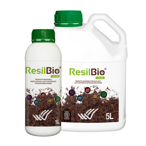 ResilBio Viva6 da 1lt
