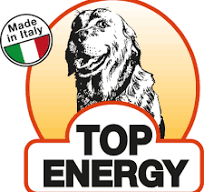 Top Energy